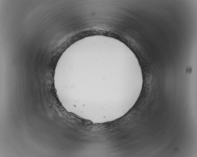 X0000112371110200909241143