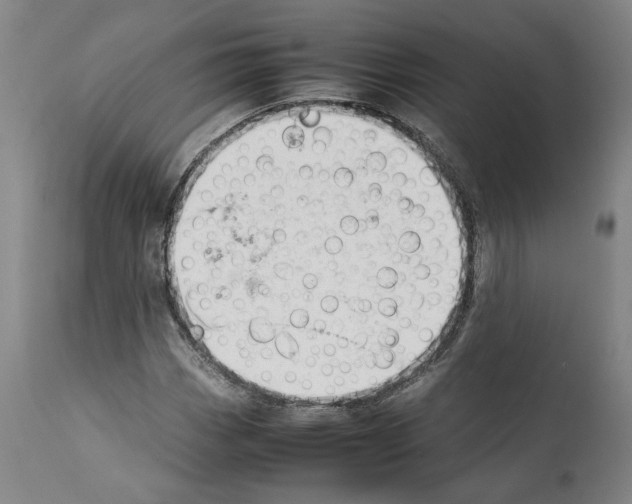 X0000112371113200909241143
