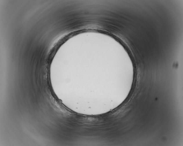 X0000112371115200909241143