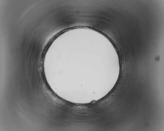 X0000112371119200909241143