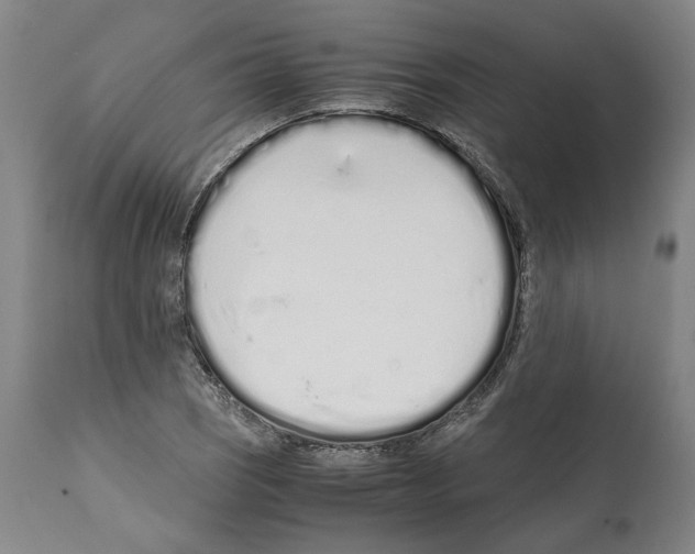 X0000112371121200909241143