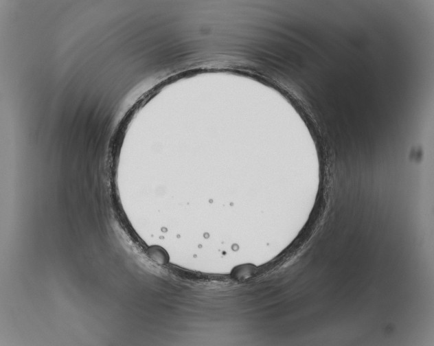 X0000112371122200909241143