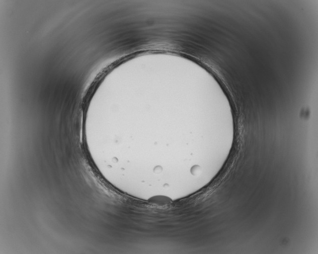 X0000112371123200909241143