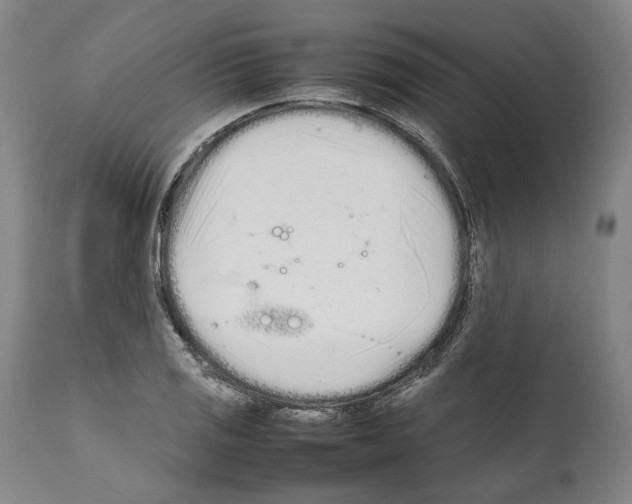 X0000112371125200909241143