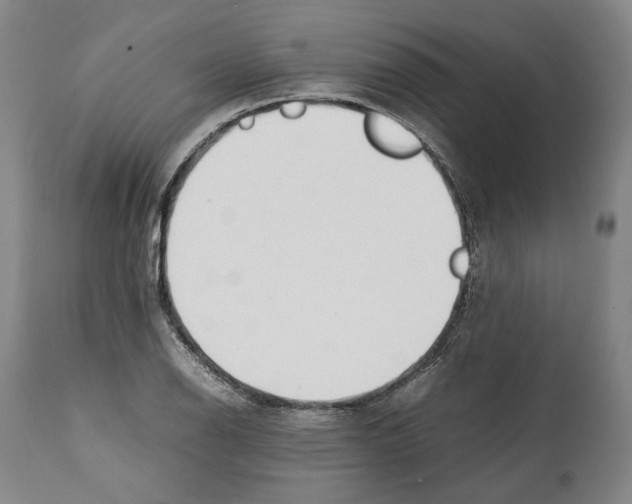 X0000112371126200909241143