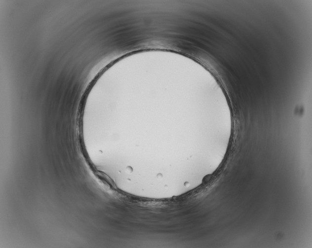X0000112371141200909241143
