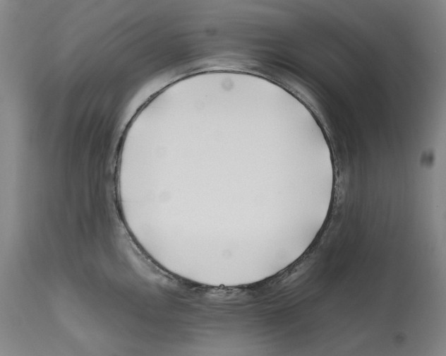 X0000112371146200909241144