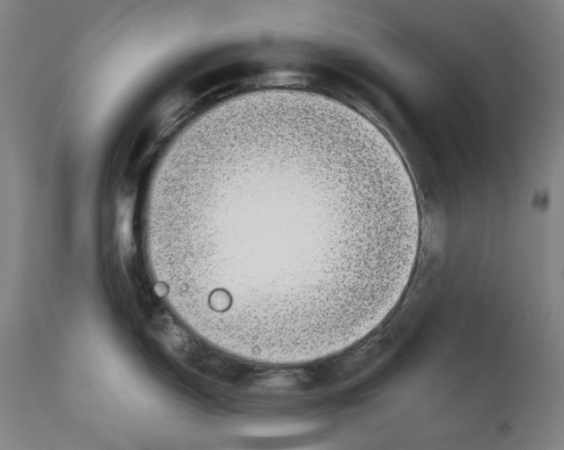X0000112371150200909241144