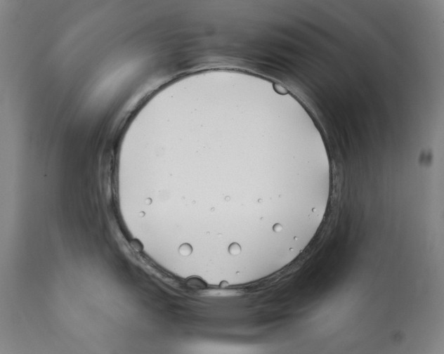 X0000112371151200909241144