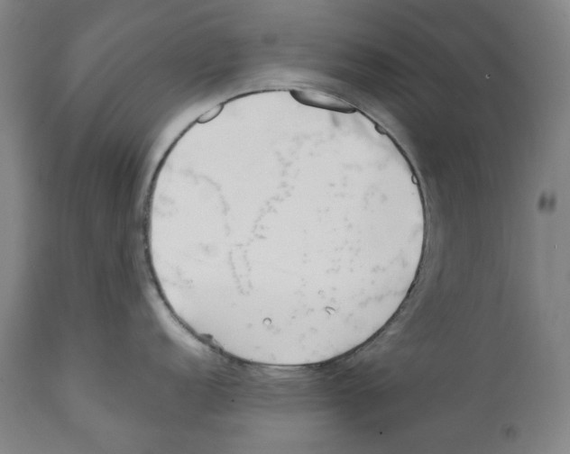 X0000112371152200909241144