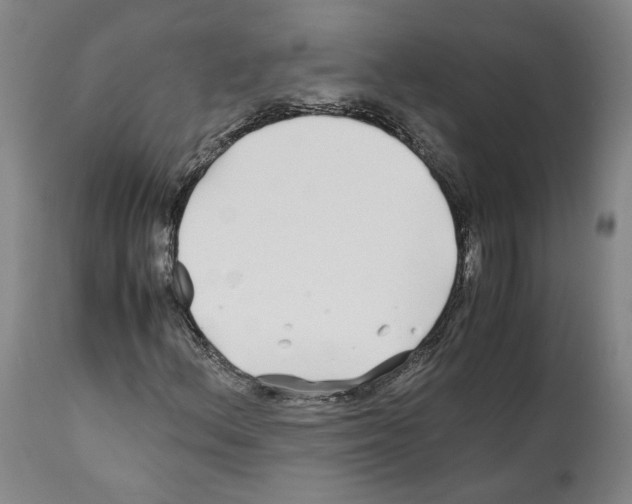 X0000112371156200909241143