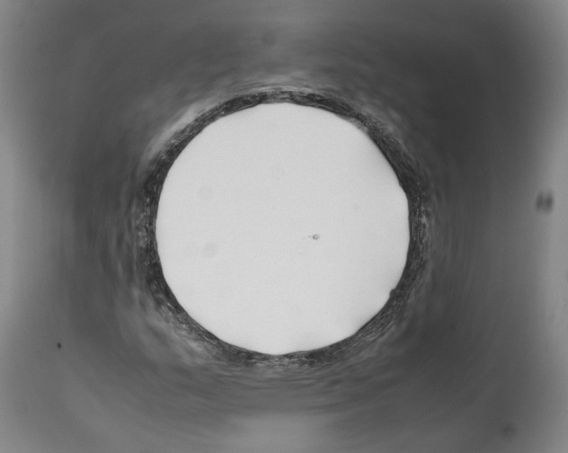 X0000112371159200909241143
