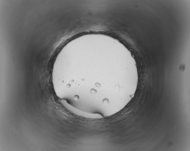 X0000112371160200909241143