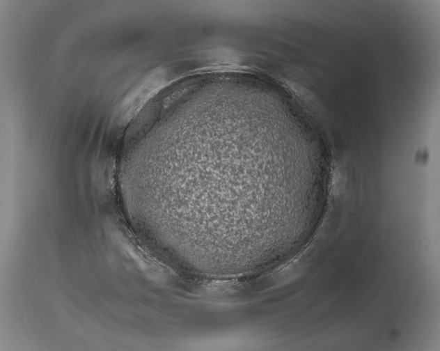 X0000112371161200909241143