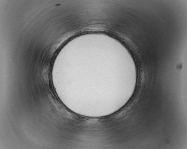 X0000112371162200909241143