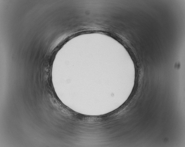 X0000112371163200909241143