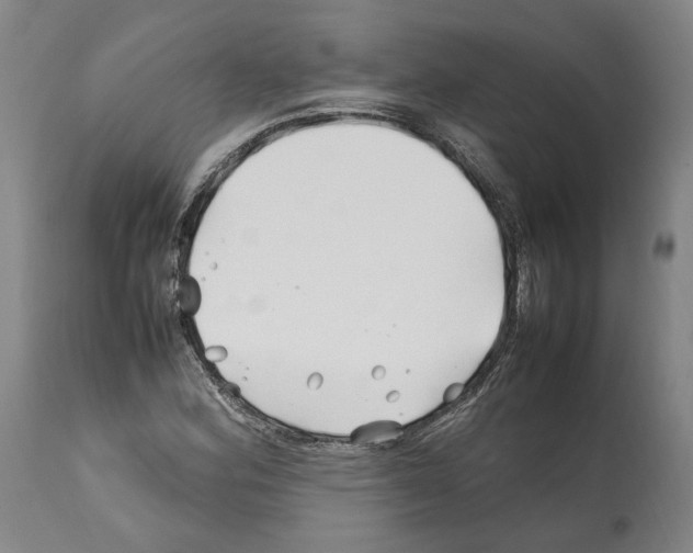 X0000112371164200909241143