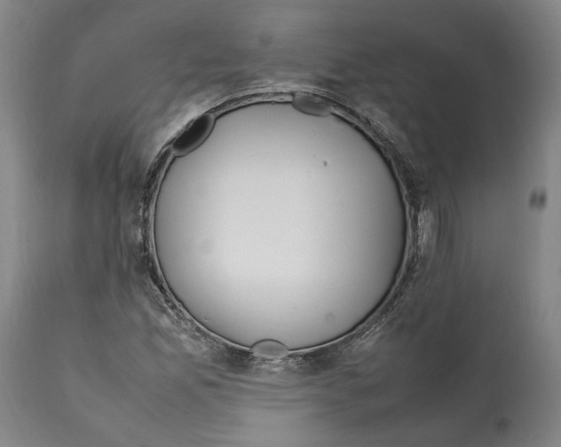 X0000112371165200909241143