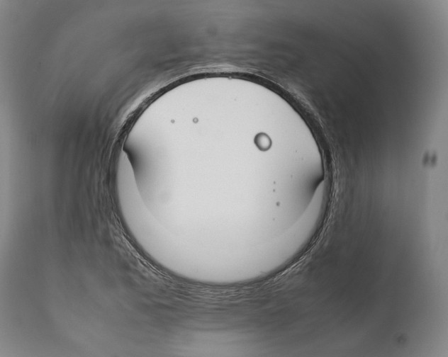 X0000112371173200909241143