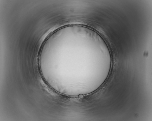 X0000112371181200909241143