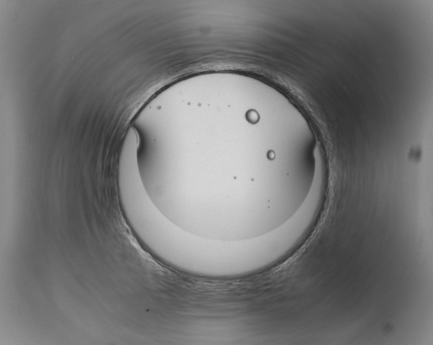 X0000112371185200909241142
