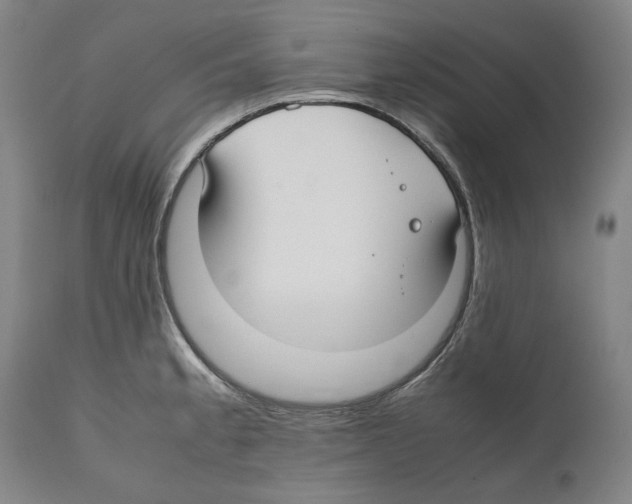 X0000112371189200909241142