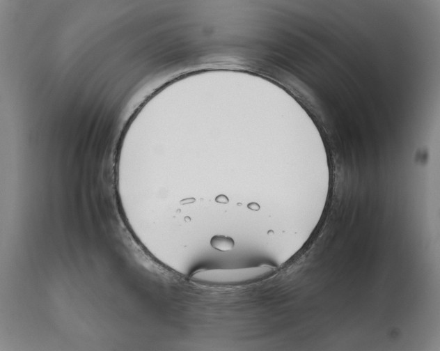 X0000112371192200909241142