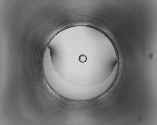 X0000112371193200909241142
