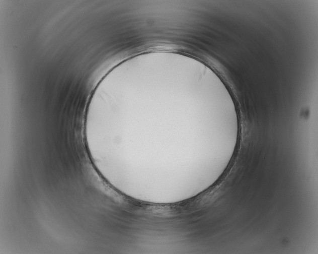 X0000112371194200909241142
