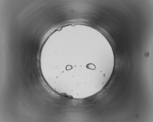 X0000112371196200909241142