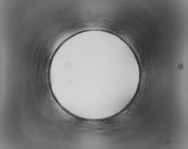 X0000112371197200909241142