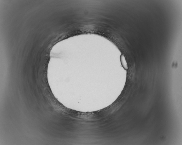 X0000112371201200909241141