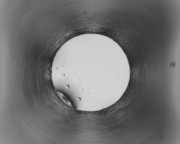 X0000112371202200909241141