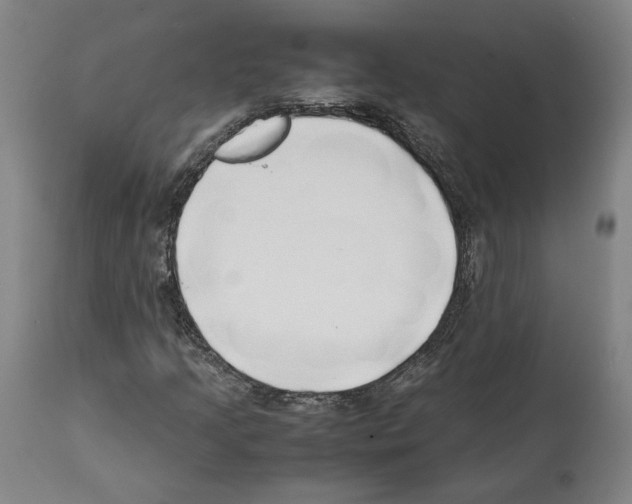 X0000112371205200909241141