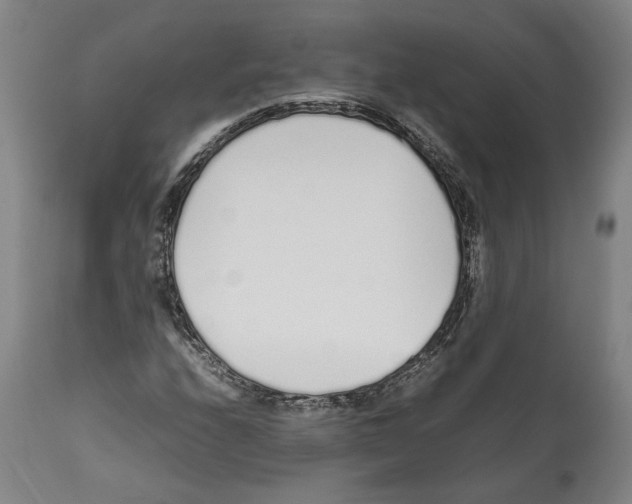 X0000112371208200909241141