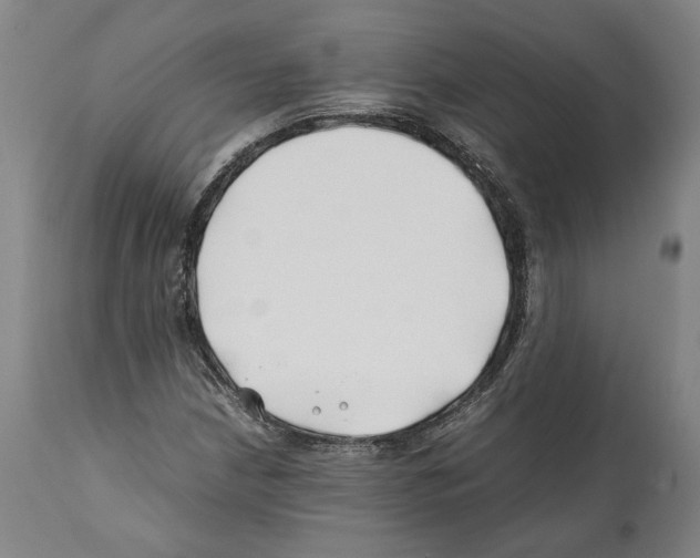 X0000112371210200909241141