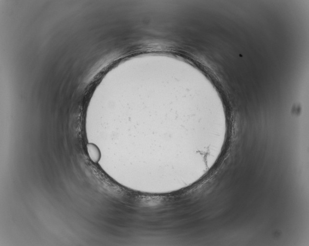 X0000112371211200909241141