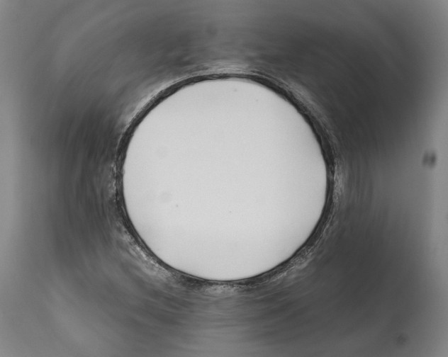 X0000112371212200909241141