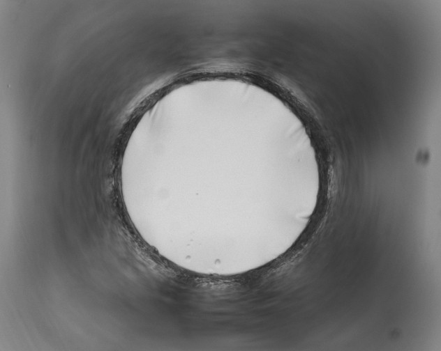 X0000112371213200909241142