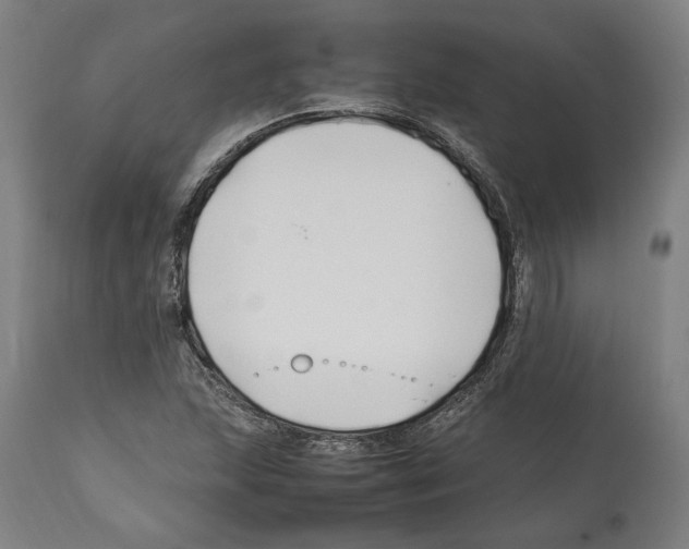 X0000112371215200909241142