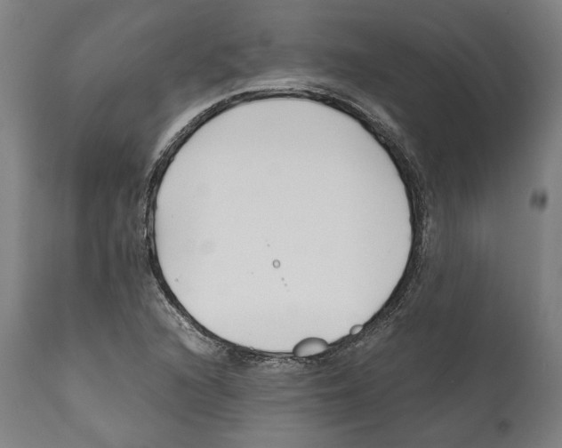 X0000112371216200909241142
