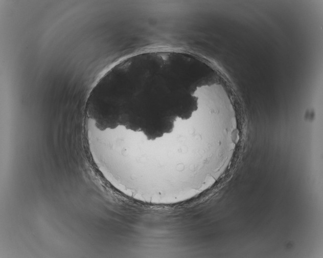 X0000112371220200909241142