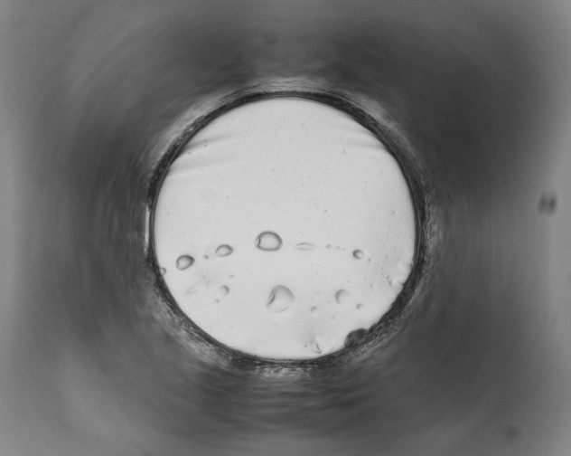 X0000112371221200909241142