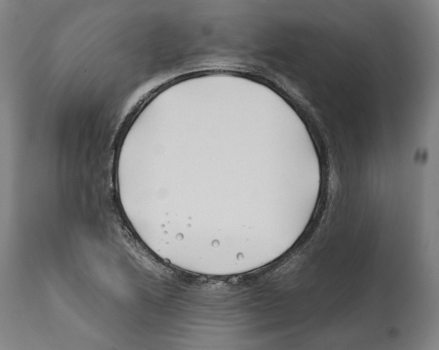 X0000112371222200909241142