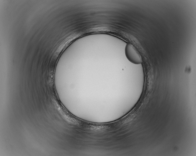 X0000112371225200909241142