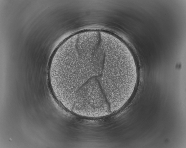 X0000112371229200909241142