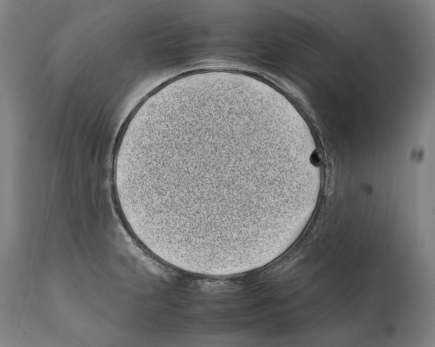 X0000112371231200909241142