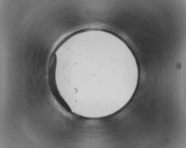 X0000112371232200909241142