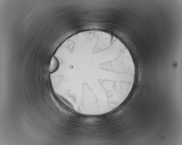 X0000112371233200909241142