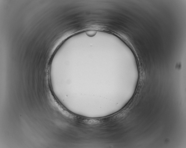 X0000112371235200909241142